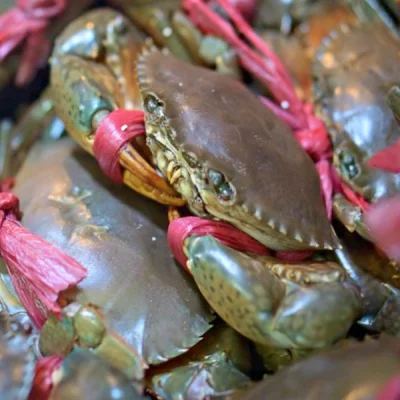 Cua Thịt Cà Mau